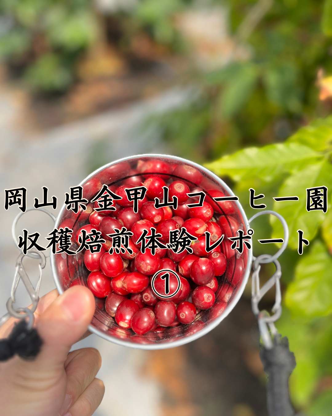 Testing Alt