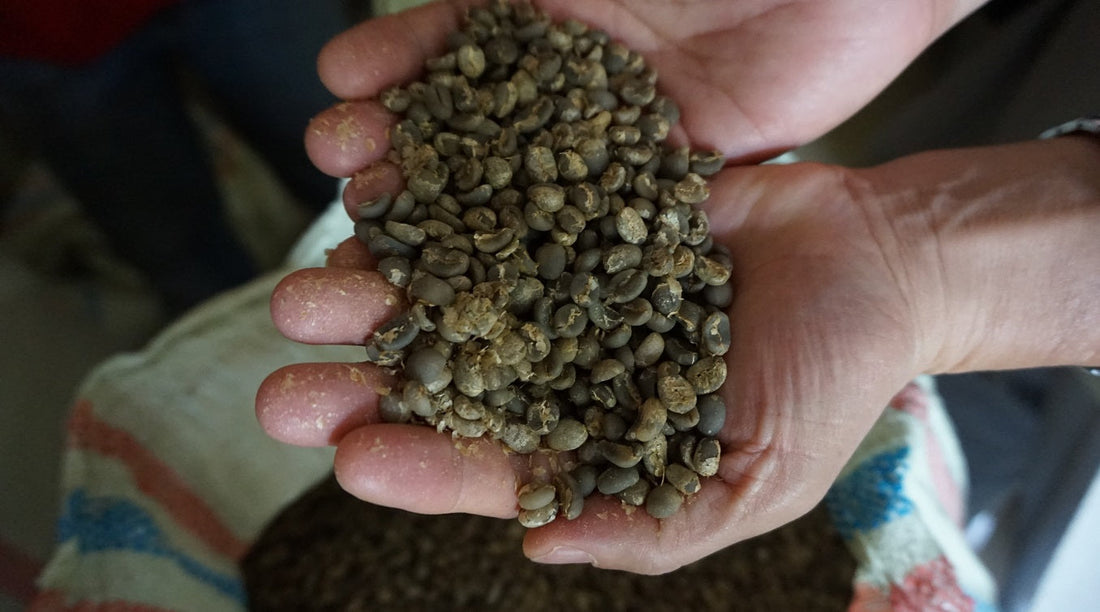 コーヒーは食品で世界一農薬使用量の多い作物という嘘とホント - 焙煎幸房“そら”