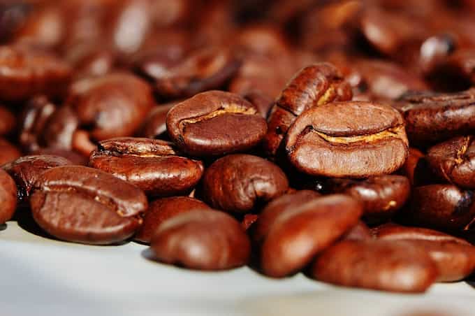 スペシャルティコーヒー豆 - 焙煎幸房“そら”