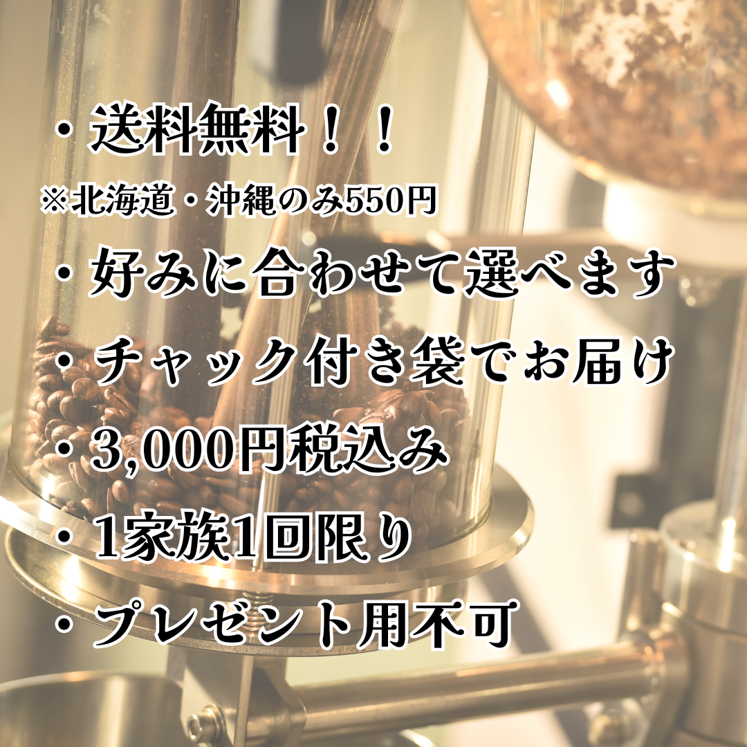 コーヒー豆お試しセット【初回限定】【送料無料】焙煎当日に発送します。