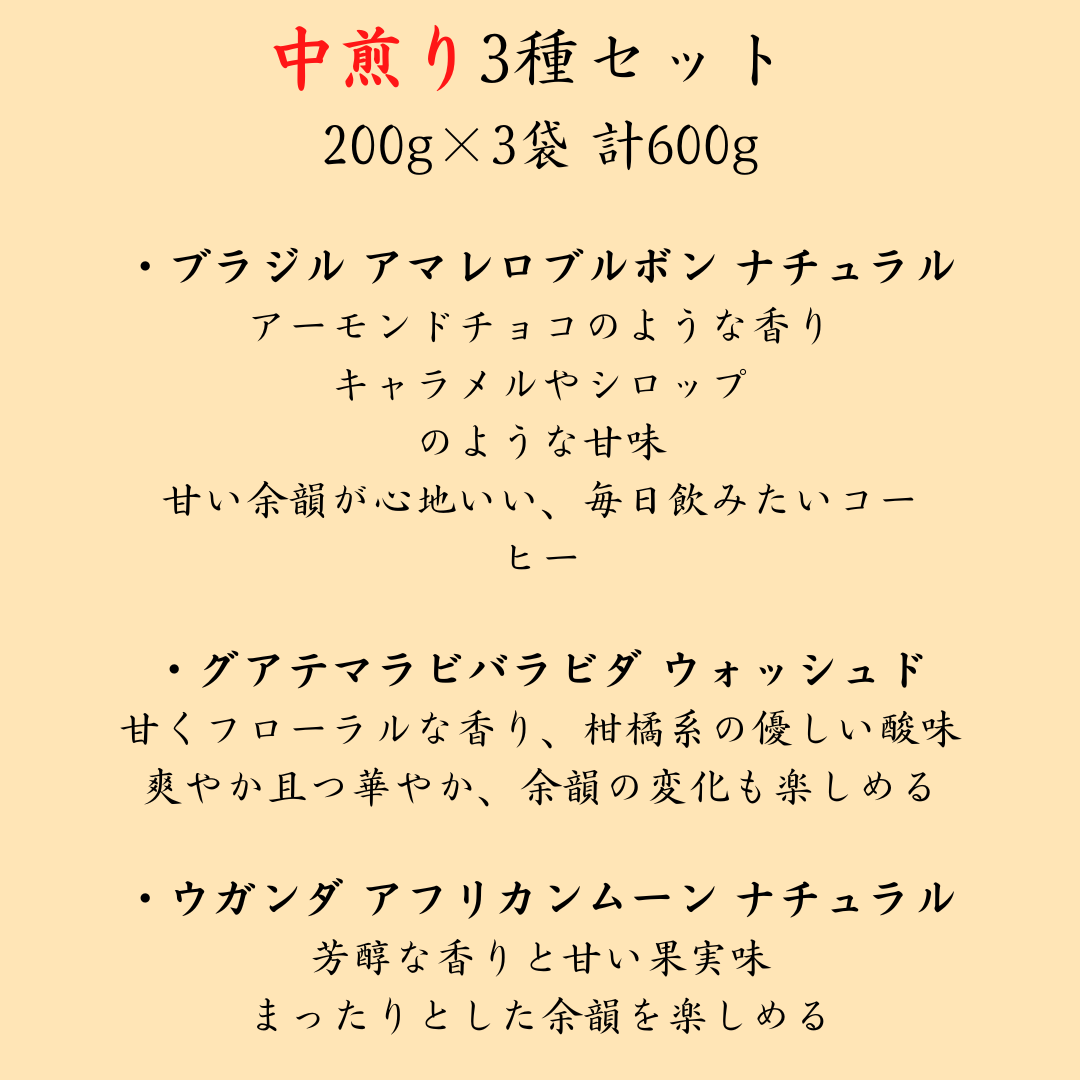 コーヒー豆お試しセット【初回限定】【送料無料】焙煎当日に発送します。 - 焙煎幸房“そら”