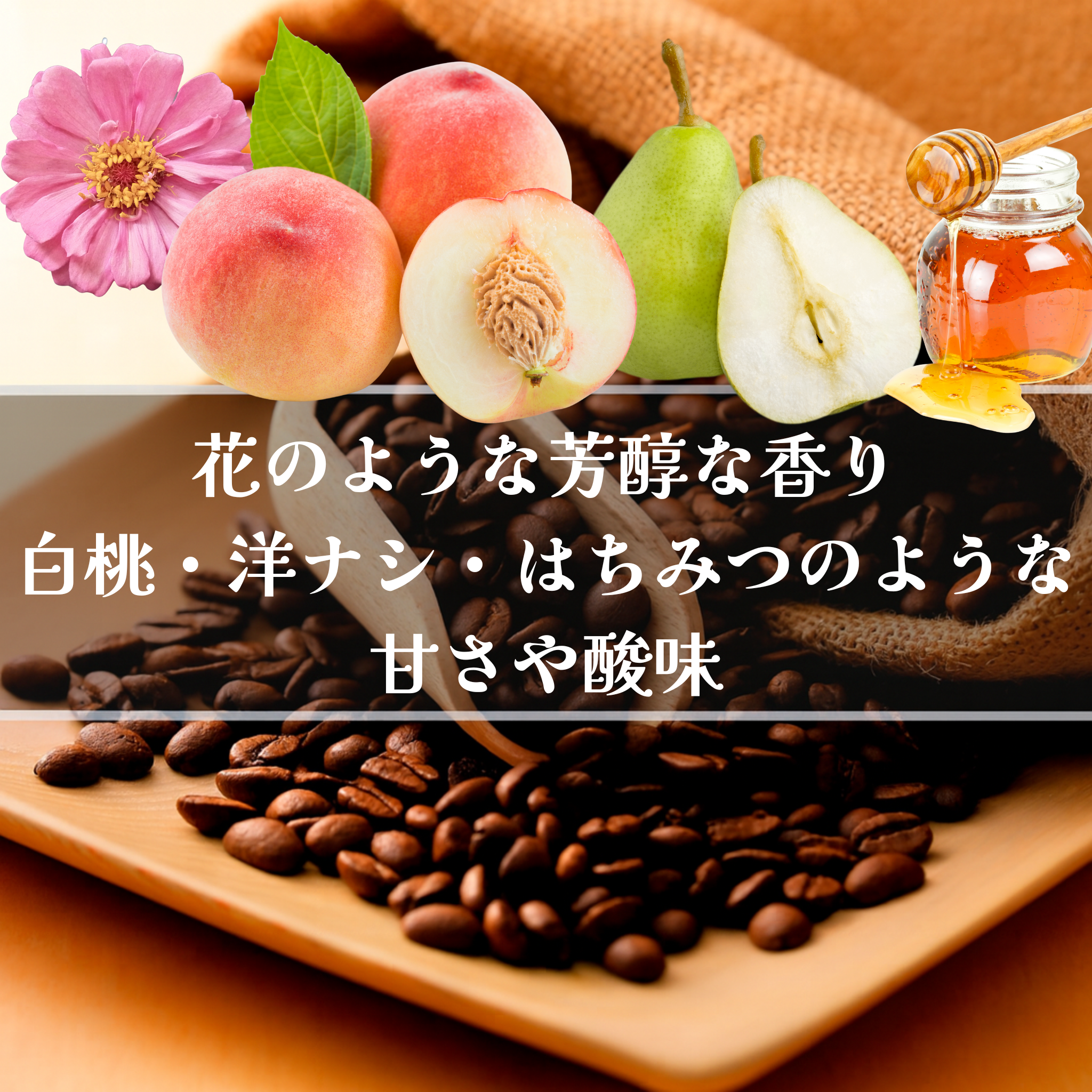 ジャマイカ ブルーマウンテン No.1 浅煎りスペシャルティコーヒー | 焙