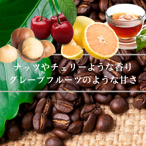 メキシコ デカフェ ラ・ロマ農園