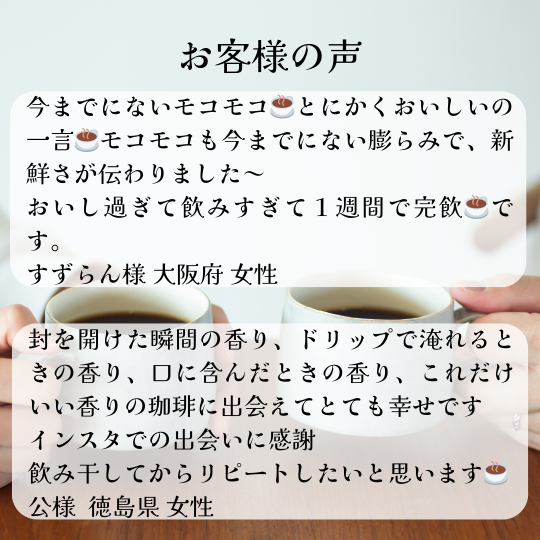コーヒー豆お試しセット【初回限定】【送料無料】焙煎当日に発送します。 - 焙煎幸房“そら”