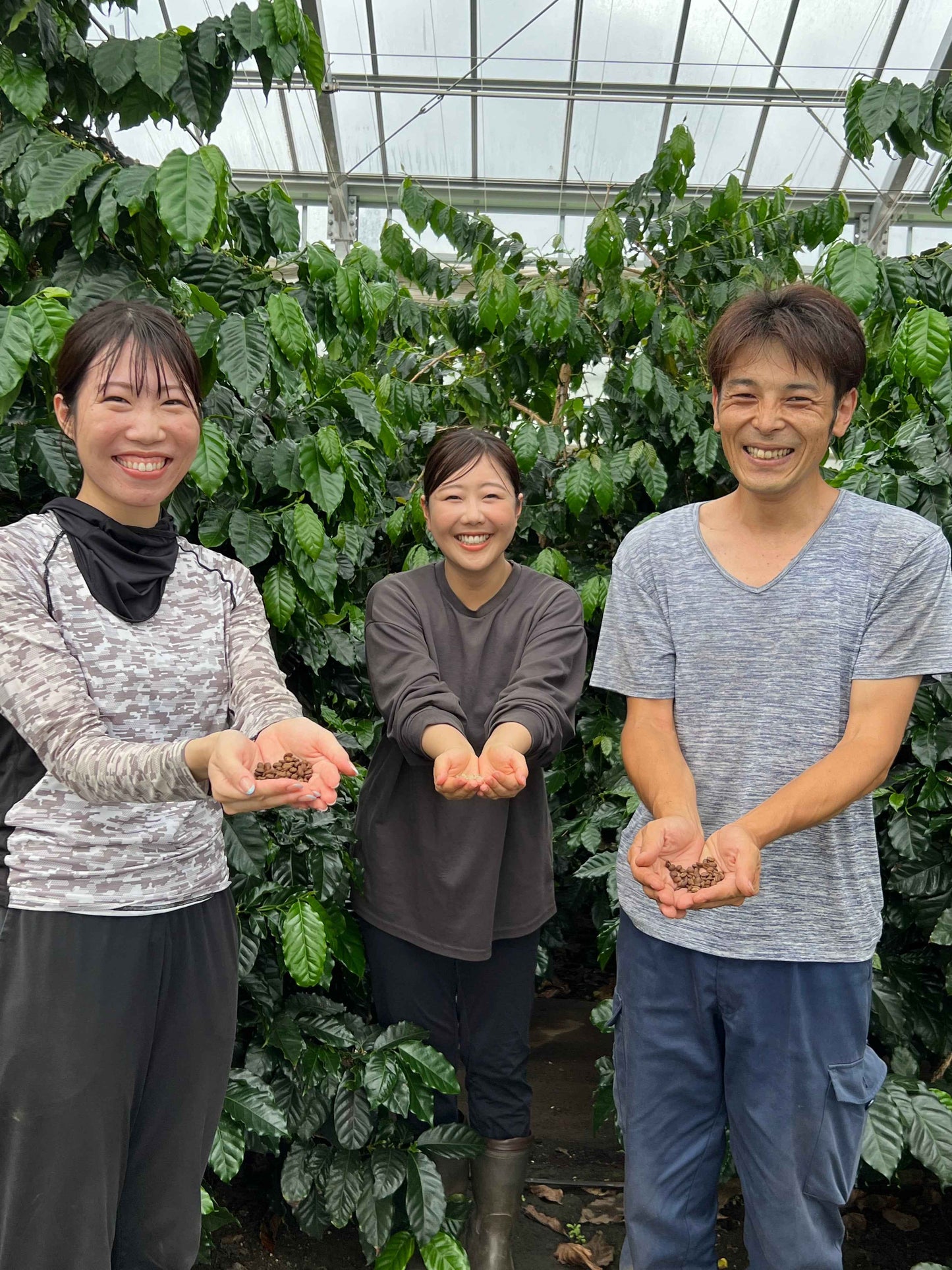 岐阜県産コーヒー豆<br>岐阜コーヒー農園<br>【浅煎り】10g×2袋<br>チェリーのような甘い香り、ヨーグルトやあんずのような酸味、あんこのようなしっかりとした甘さのある余韻<br>苦味 ★☆☆☆☆ <br>酸味 ★★★☆☆ <br>甘み ★★★★★ <br>コク ★★★★☆ <br>香り ★★★★☆