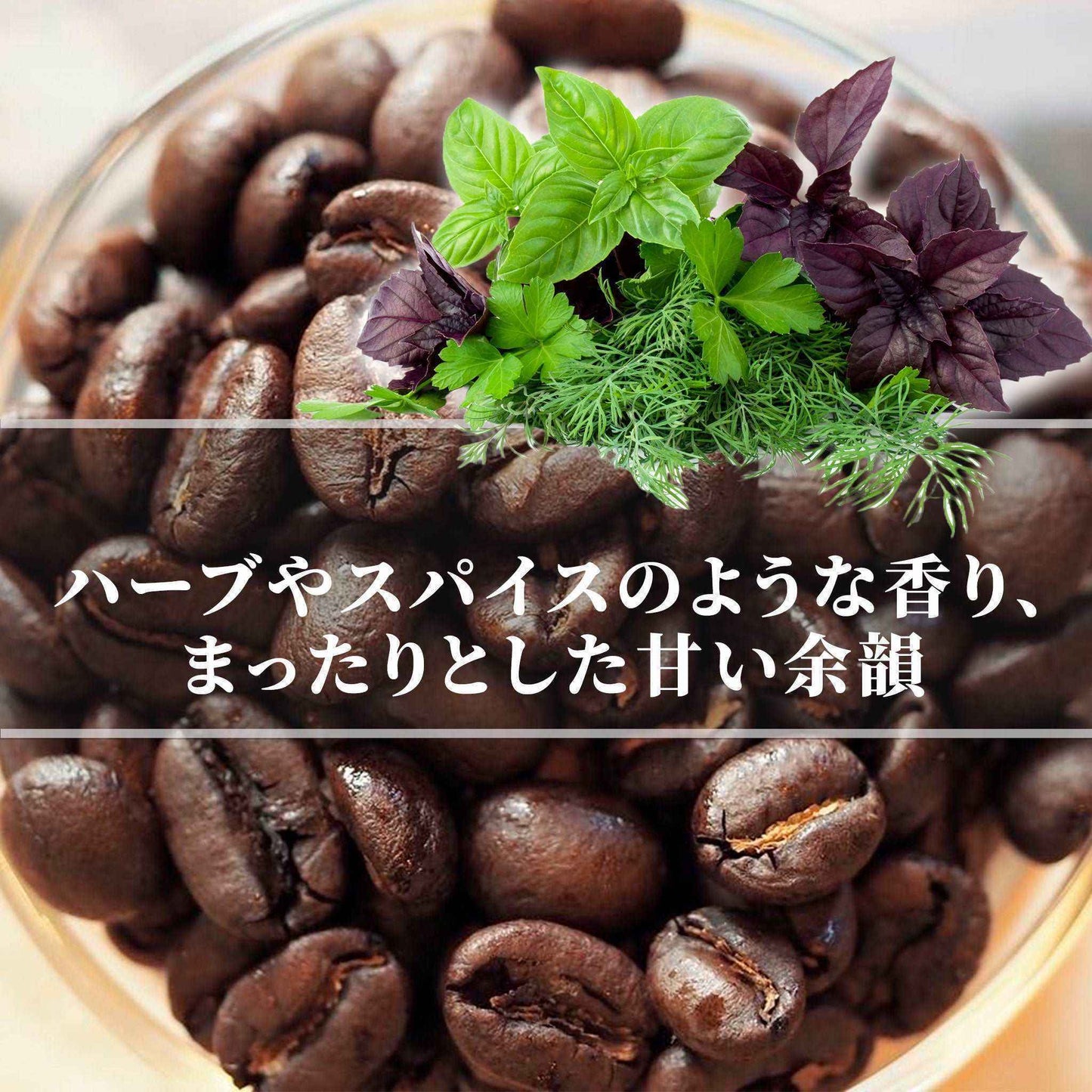 インドネシア<br>ワイルド コピ・ルアク<br>【浅煎り】<br>熟したフルーツのような芳醇な香り、りんごや白ぶどうのような甘さ、マイルドで雑味が少ない、優しい味わい<br>苦味 ★★☆☆☆<br>酸味 ★★☆☆☆<br>甘み ★★★☆☆<br>コク ★★★★☆<br>香り ★★★★☆