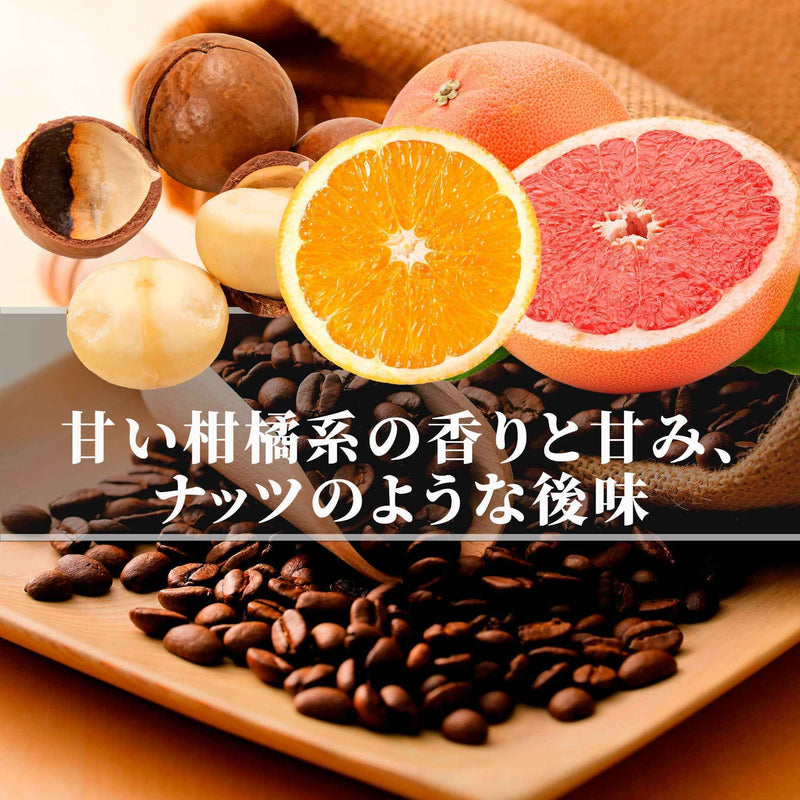 コロンビア<br>オンブリゴン エル ディヴィソ農園<br>【浅煎り】<br>甘い柑橘系の香りと甘み、味わいが豊か、ナッツのような後味、クリーミーな質感<br>苦味 ★☆☆☆☆<br>酸味 ★★★☆☆<br>甘み ★★★★☆<br>コク ★★★★★<br>香り ★★★★★ (コピー)