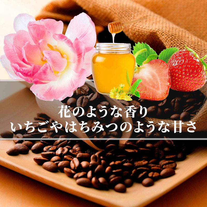 エチオピア<br>ゲシャビレッジ農園<br>ゲイシャ ナチュラル<br>【浅煎り】<br>花のような香り、甘い余韻、イチゴやハチミツのような甘さ<br>苦味 ★☆☆☆☆<br>酸味 ★★★☆☆<br>甘さ ★★★★★<br>コク ★★★☆☆<br>香り ★★★★★