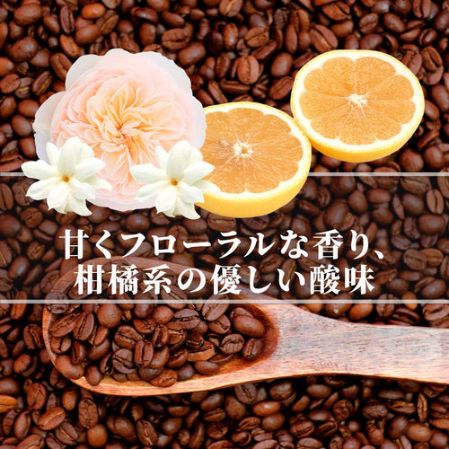 グアテマラ パンポヒラ農園 ビバラビダ 【中煎り】 甘くフローラルな香り、柑橘系の優しい酸味、爽やか且つ華やか - スペシャルティコーヒー