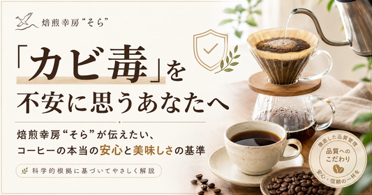 「カビ毒」を不安に思うあなたへ。焙煎幸房“そら”が伝えたい、コーヒーの本当の安心と美味しさの基準