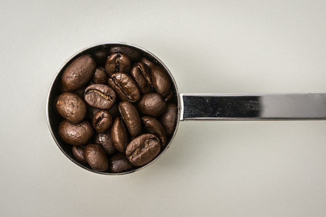 1杯のコーヒーは何ml抽出で、豆を何g使うのが正解なのか？