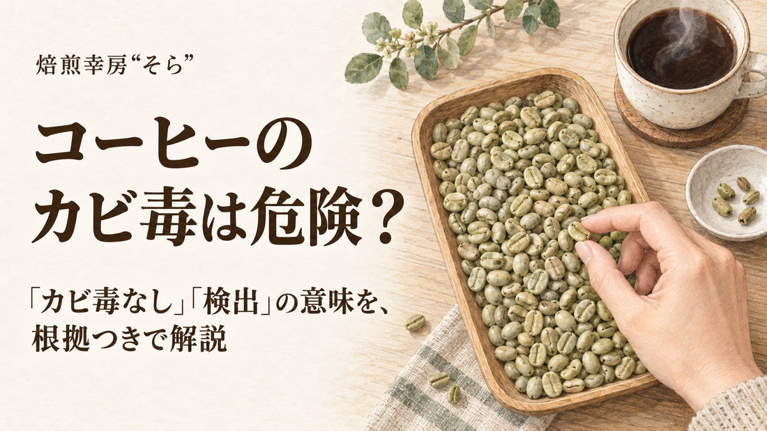 木のトレーに広げたコーヒーの生豆を手で選り分けているイラスト。「コーヒーのカビ毒は危険？」の文字
