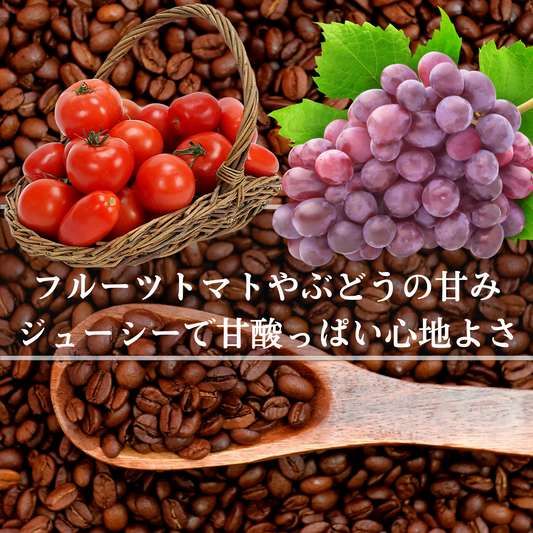 ケニア<br>ガタイシファクトリー AA<br>【中煎り】<br>華やかで爽やかな香り、フルーツトマトやぶどうのようなジューシーな甘みと酸味、ジューシーで甘酸っぱい心地よさが長く残る<br>苦味 ★★☆☆☆<br>酸味 ★★★☆☆<br>甘み ★★★★☆<br>コク ★★★★☆<br>香り ★★★★★