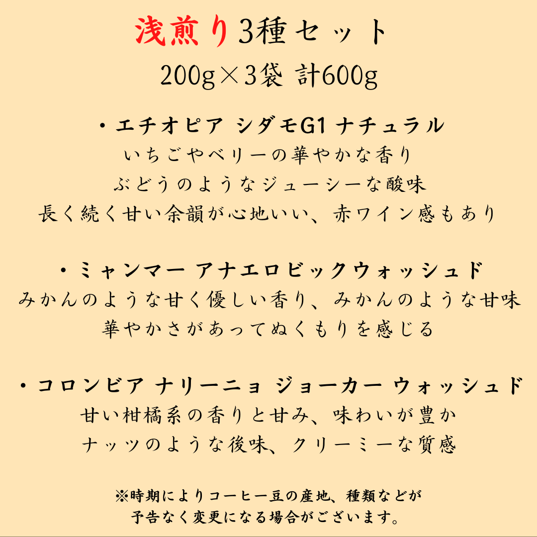 コーヒー豆お試しセット【初回限定】【送料無料】焙煎当日に発送します。