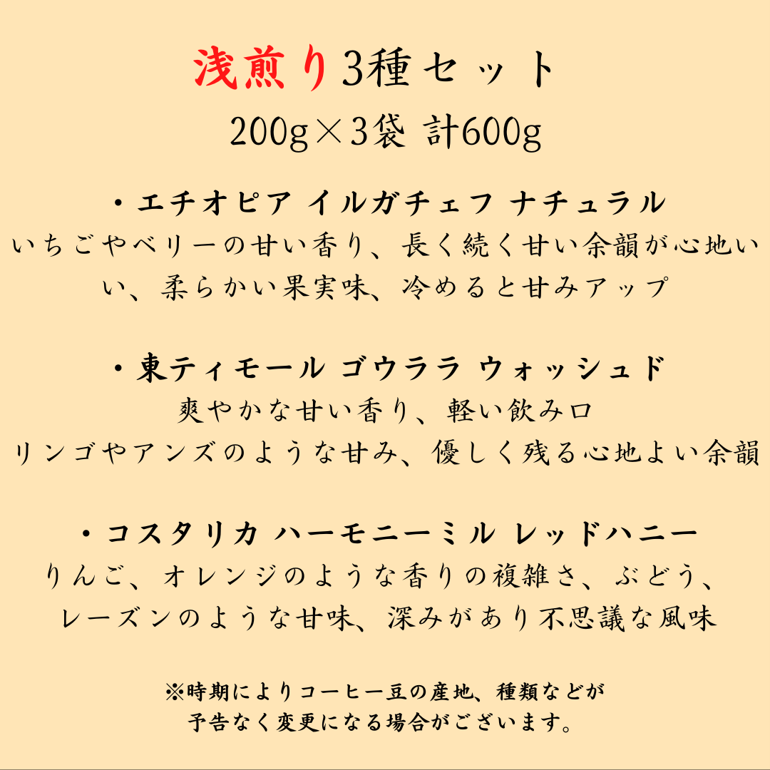 コーヒー豆お試しセット【初回限定】【送料無料】焙煎当日に発送します。