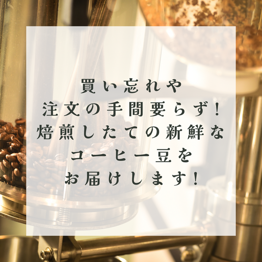 コーヒー豆定期便