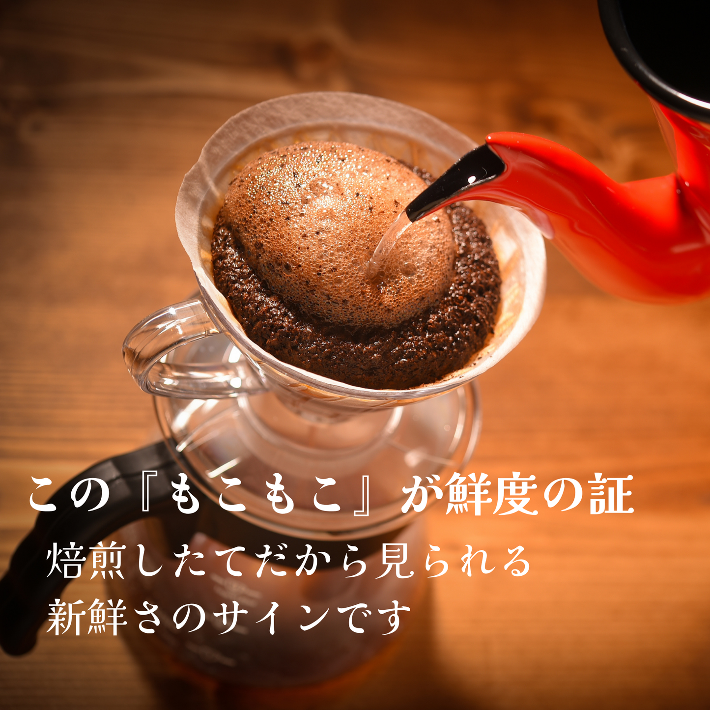 エチオピア<br>シダモG1 ベンサ ニグセ<br>ナチュラル<br>【浅煎り】<br>ぶどうやフルーツの華やかな香り、梨や白桃のジューシーな甘味と酸味、余韻も華やか<br>苦味 ★☆☆☆☆<br>酸味 ★★★☆☆<br>甘み ★★★★★<br>コク ★★☆☆☆<br>香り ★★★★★