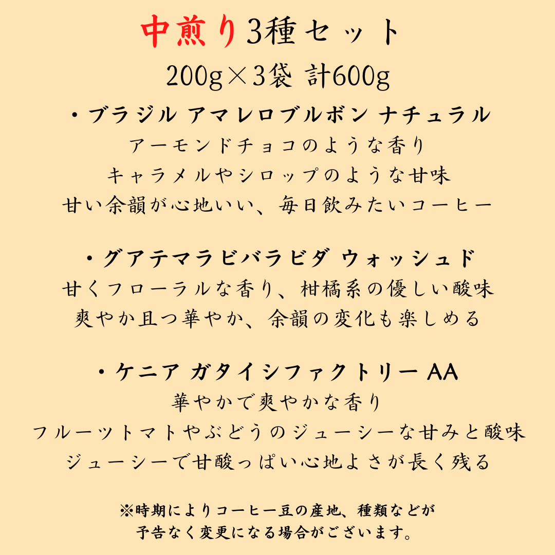 コーヒー豆お試しセット【初回限定】【送料無料】焙煎当日に発送します。
