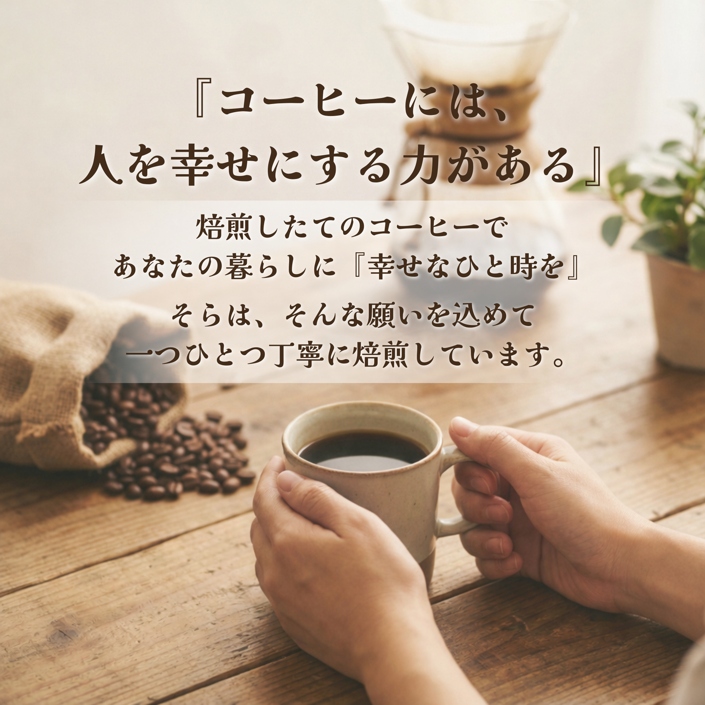 コーヒー豆定期便