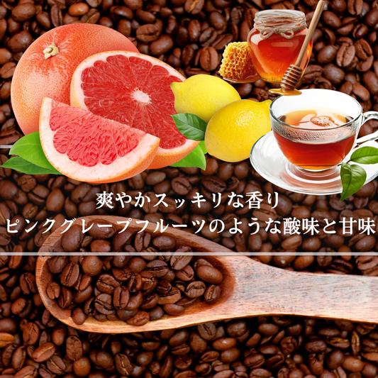 タンザニア<br>アカシアヒルズ<br>【中煎り】<br>爽やかスッキリな香り、ピンクグレープフルーツのような酸味と甘味、軽やかな余韻、何杯でもいける<br>苦味 ★★☆☆☆<br>酸味 ★★☆☆☆<br>甘み ★★★★☆<br>コク ★★★☆☆<br>香り ★★★★★