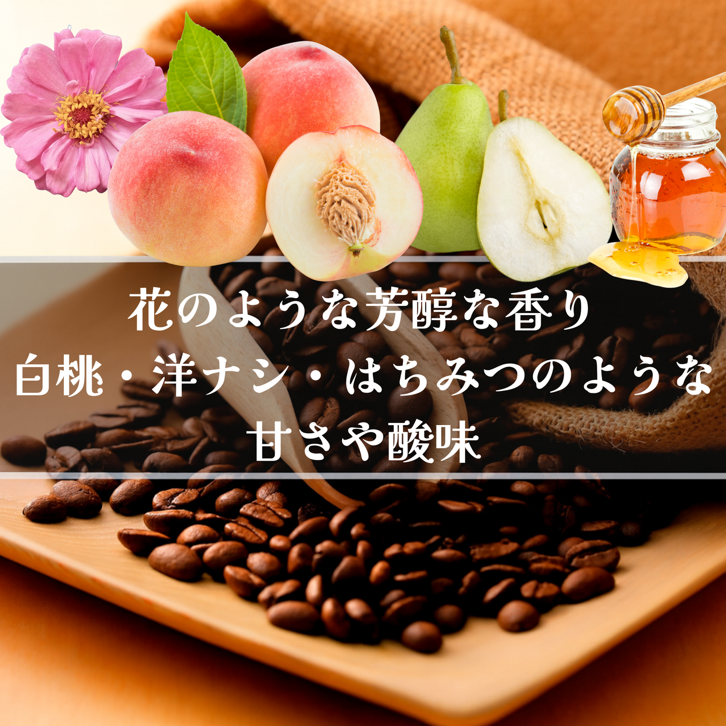 ジャマイカ<br>ブルーマウンテン No.1<br>ウォッシュド<br>【浅煎り】<br>花のような芳醇な香り、白桃・洋ナシ・はちみつのような甘さや酸味、余韻が長く満足感がある<br>苦味 ★★☆☆☆<br>酸味 ★★☆☆☆<br>甘み ★★★☆☆<br>コク ★★★★☆<br>香り ★★★★★