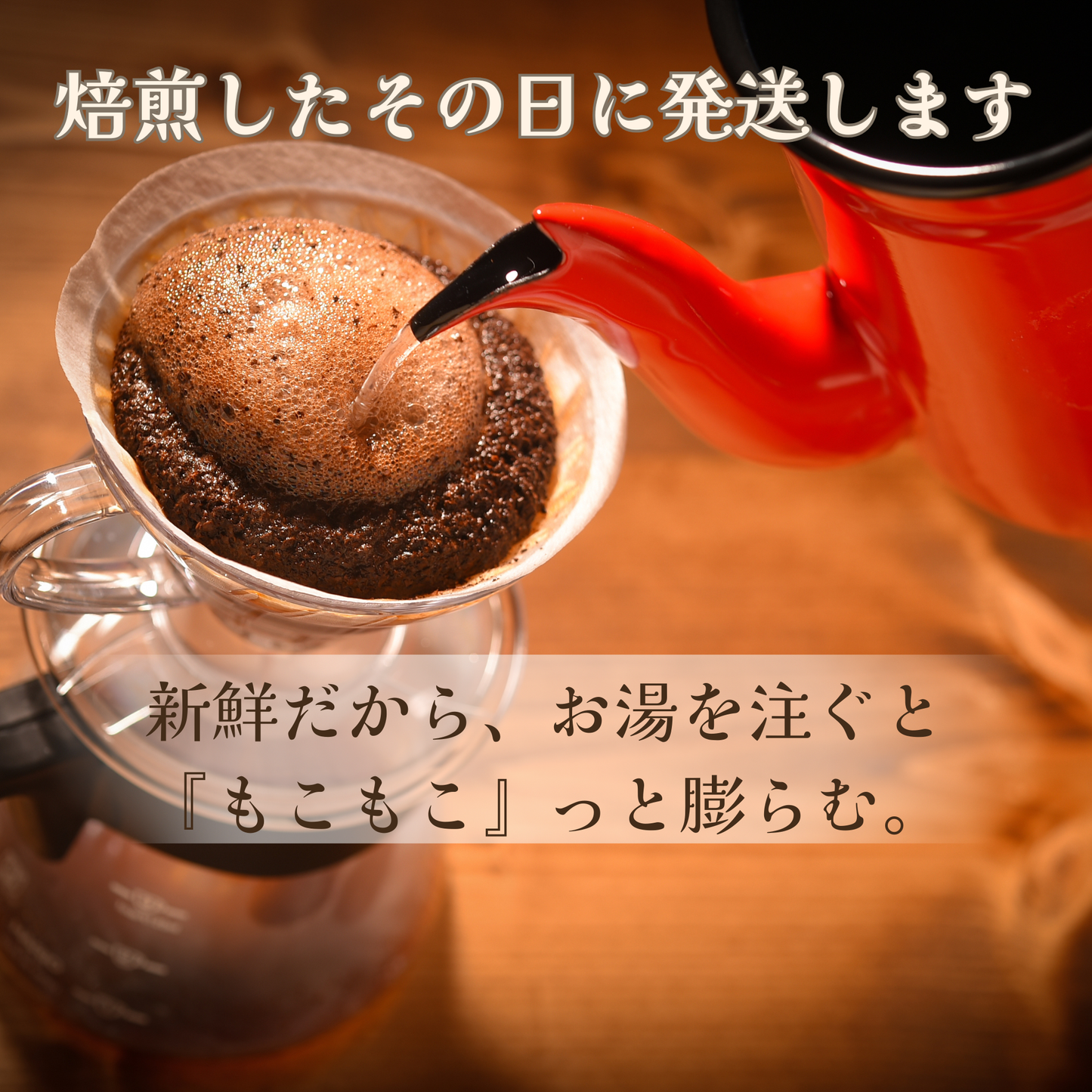 コーヒー豆定期便