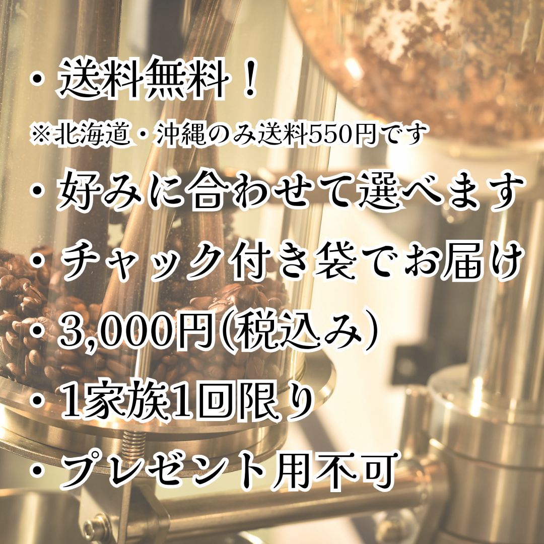 コーヒー豆お試しセット【初回限定】【送料無料】焙煎当日に発送します。