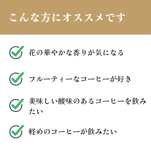ニカラグア ロス・アルティプラノス農園 パカマラ【浅煎り】