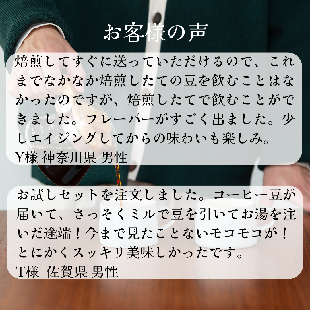 コーヒー豆お試しセット【初回限定】【送料無料】焙煎当日に発送します。