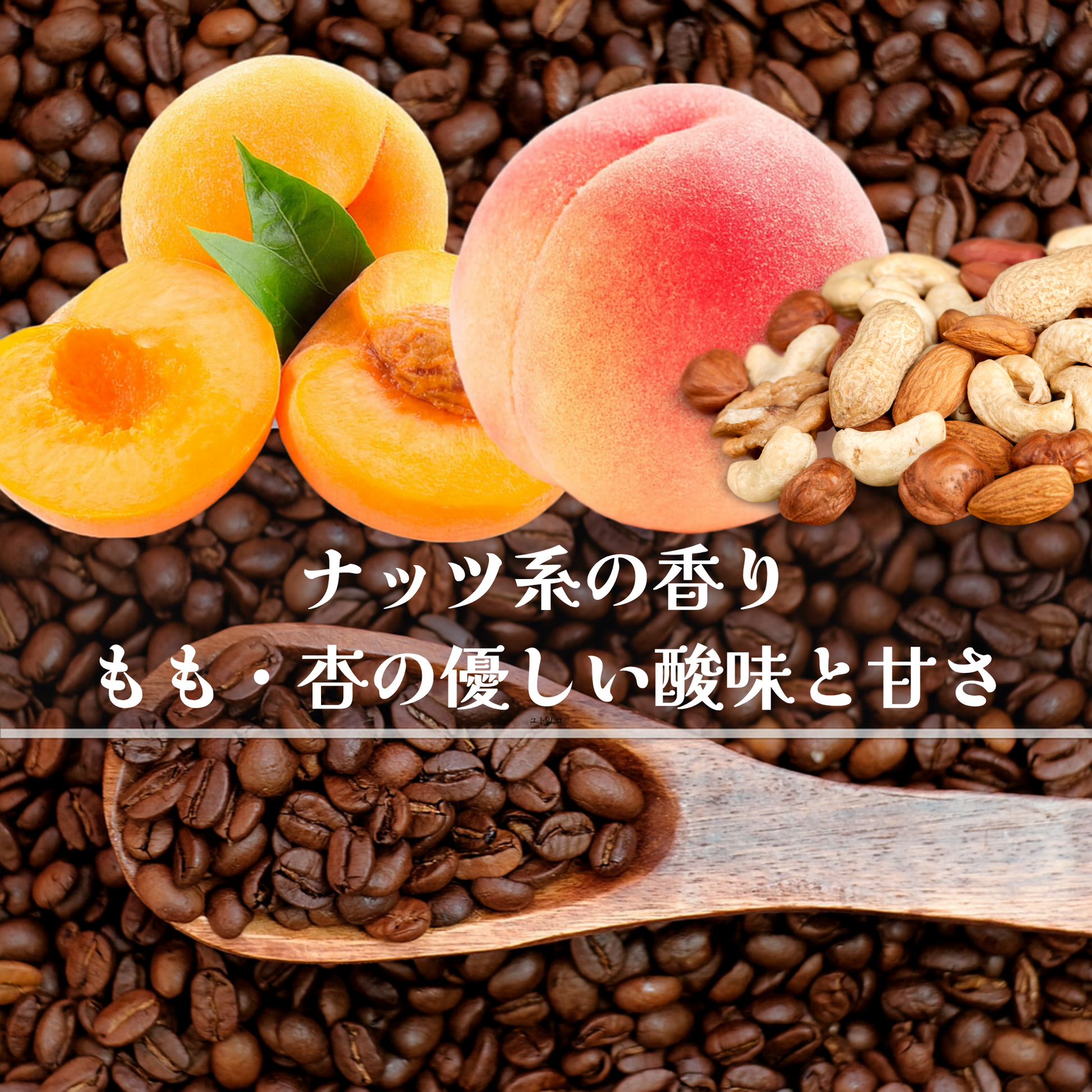 ペルー<br>アルト・パロマール<br>【中煎り】<br>ナッツ系の香り、桃・あんずのような優しい酸味と甘さ、雑味のないバランスのとれた1杯、心地いい余韻<br>苦味 ★☆☆☆☆<br>酸味 ★★☆☆☆<br>甘み ★★★★★<br>コク ★★★☆☆<br>香り ★★★★☆ - 焙煎幸房“そら”