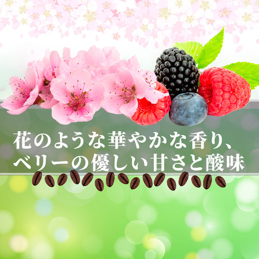 そらブレンド春<br>【中煎り】<br>花のような華やかな香り、ベリー系の優しい甘さと酸味、爽やかな余韻<br>苦味 ★★☆☆☆ <br>酸味 ★★★☆☆ <br>甘み ★★★★★ <br>コク ★★☆☆☆ <br>香り ★★★★★