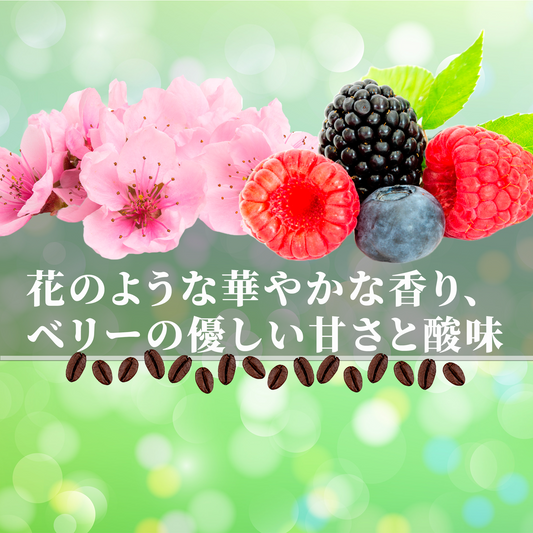 そらブレンド春<br>【中煎り】<br>花のような香り、ベリーのような甘酸っぱさ、やさしい余韻<br>苦味 ★★☆☆☆ <br>酸味 ★★★☆☆ <br>甘み ★★★★★ <br>コク ★★☆☆☆ <br>香り ★★★★★
