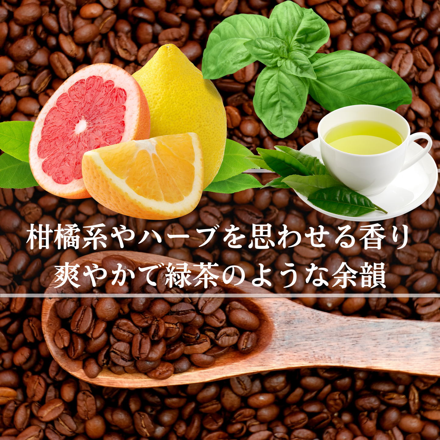 タイ<br>メイ チェディマイ ジェーンセレクト<br>【中煎り】<br>柑橘系やハーブを思わせる香り、穏やかな酸味と甘さ、爽やかで緑茶のような余韻<br>苦味 ★★☆☆☆<br>酸味 ★★☆☆☆<br>甘み ★★★★★<br>コク ★★★☆☆<br>香り ★★★★★