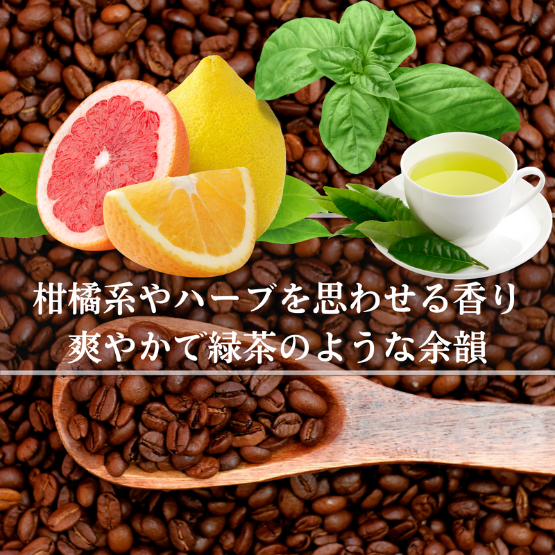 タイ<br>メイ チェディマイ ジェーンセレクト<br>【中煎り】<br>柑橘系やハーブを思わせる香り、穏やかな酸味と甘さ、爽やかで緑茶のような余韻<br>苦味 ★★☆☆☆<br>酸味 ★★☆☆☆<br>甘み ★★★★★<br>コク ★★★☆☆<br>香り ★★★★★