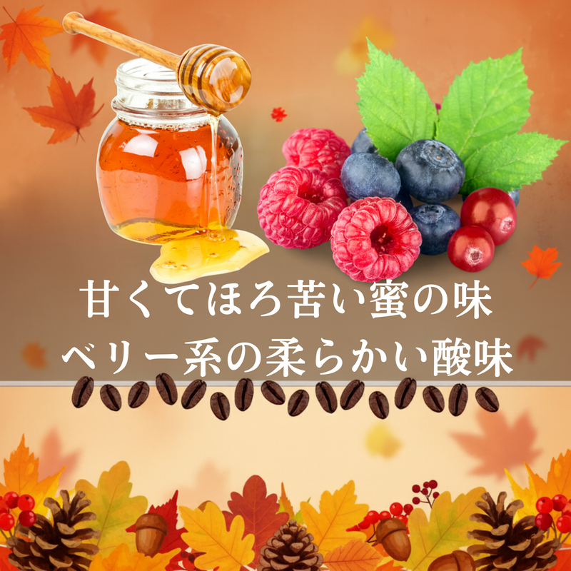 そらブレンド秋<br>【中煎り】<br>甘く香ばしい香り、甘くてほろ苦い蜜の味、ベリー系の柔らかい酸味、どこかホッとする余韻<br>苦味 ★★★☆☆ <br>酸味 ★★☆☆☆ <br>甘み ★★★★★ <br>コク ★★★★☆ <br>香り ★★★★★
