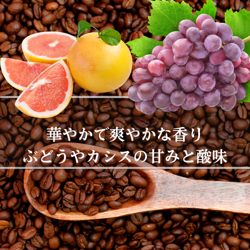 ケニア アダロニアAA【中煎り】