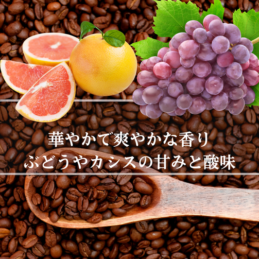 ケニア アダロニアAA【中煎り】