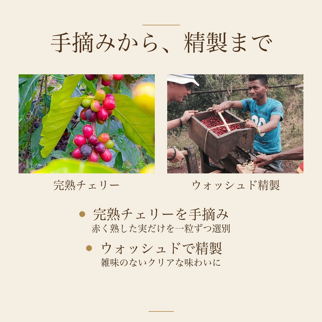 process_combined_easttimor_v2